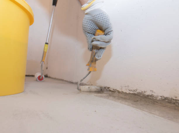 Best Pest Prevention Services  in Clarinda, IA